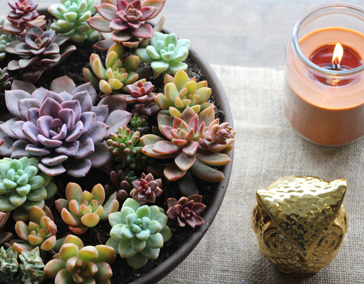 DIY Burlap Bunting via Needles + Leaves :: Thanksgiving Decorations :: Succulents :: Home Decor